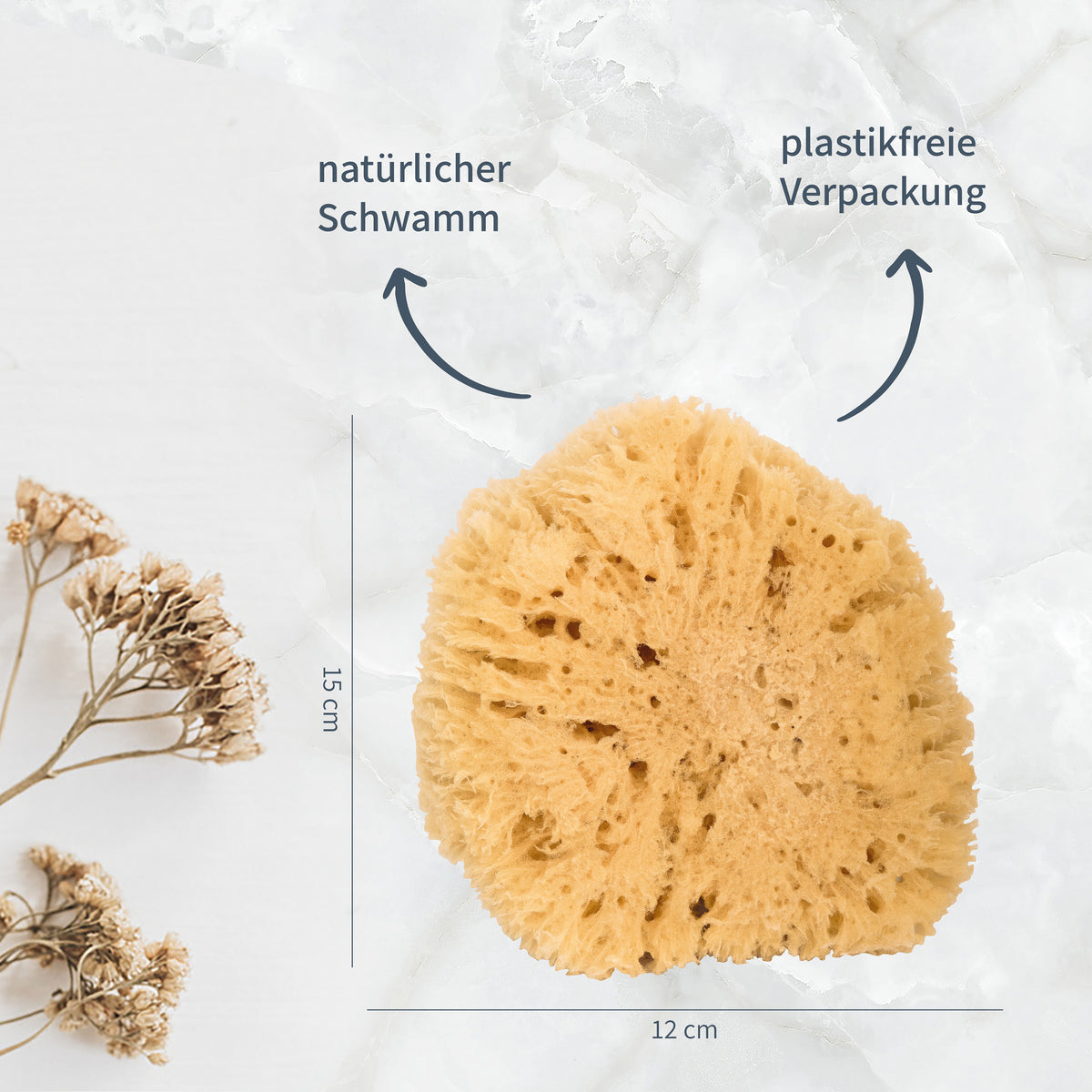 Naturschwamm – XXL - für Körperpflege