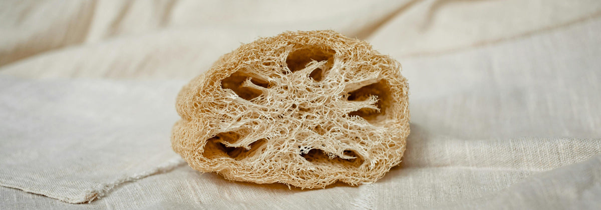 Nachhaltiger, veganer Luffaschwamm - Pflege