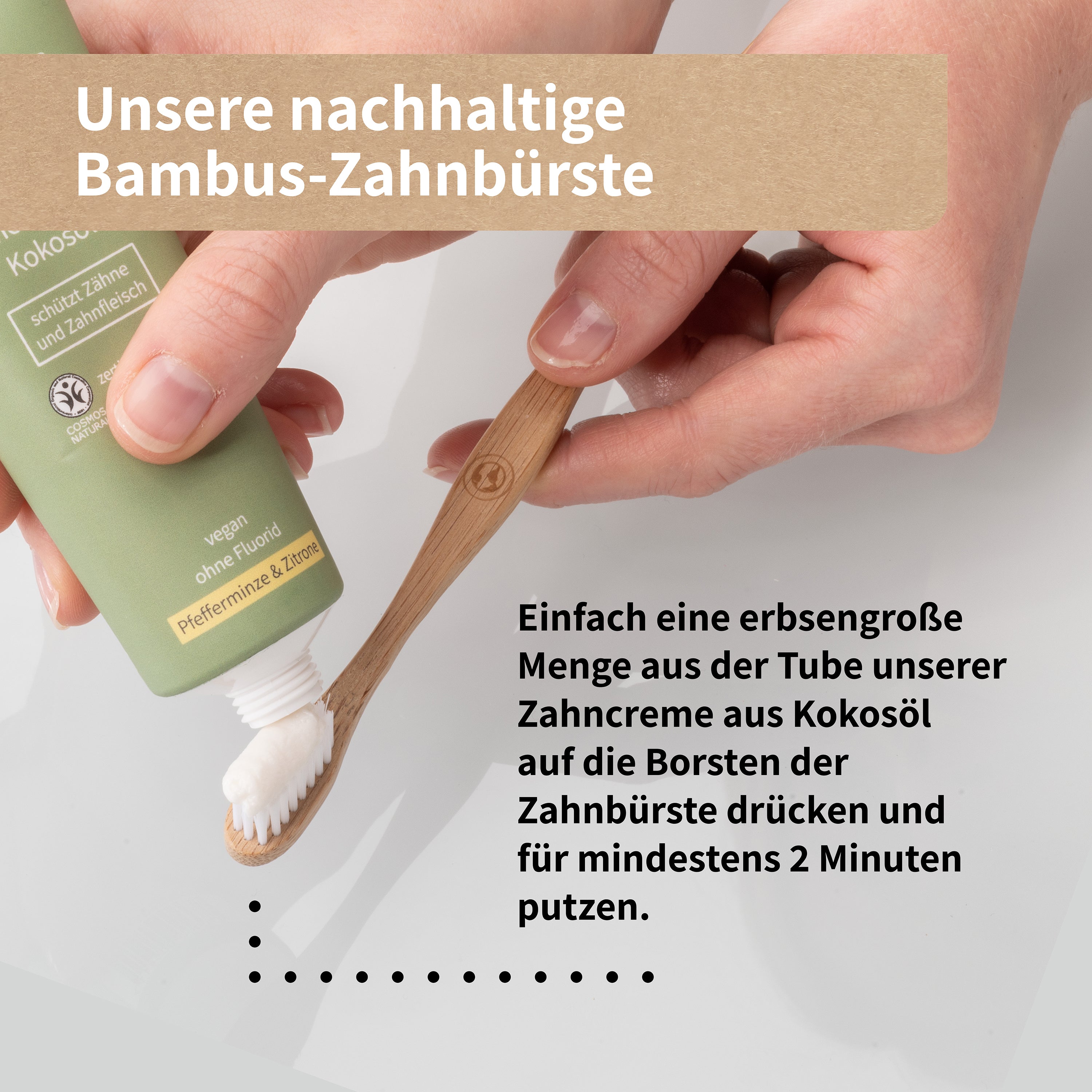 bambus holland kaufen Nicht wuchernder Bambus 'Campbell' | kaufen main image 1