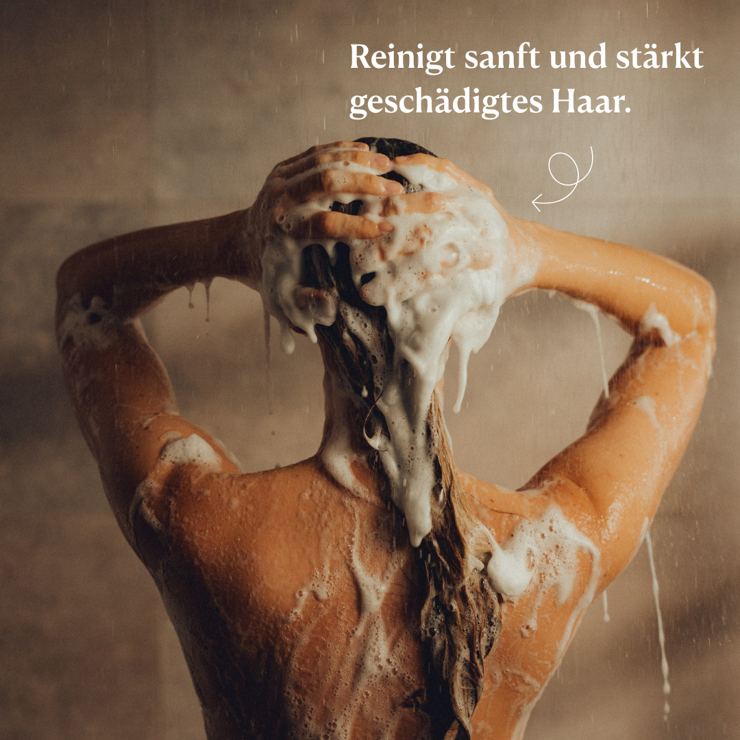 Shampoo repair & balance