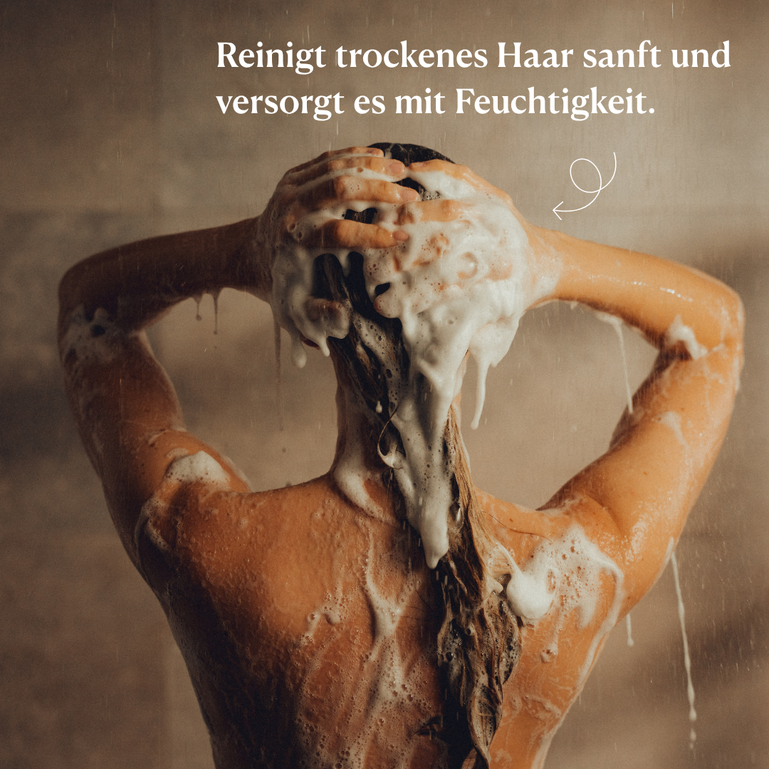 Shampoo moisture & balance